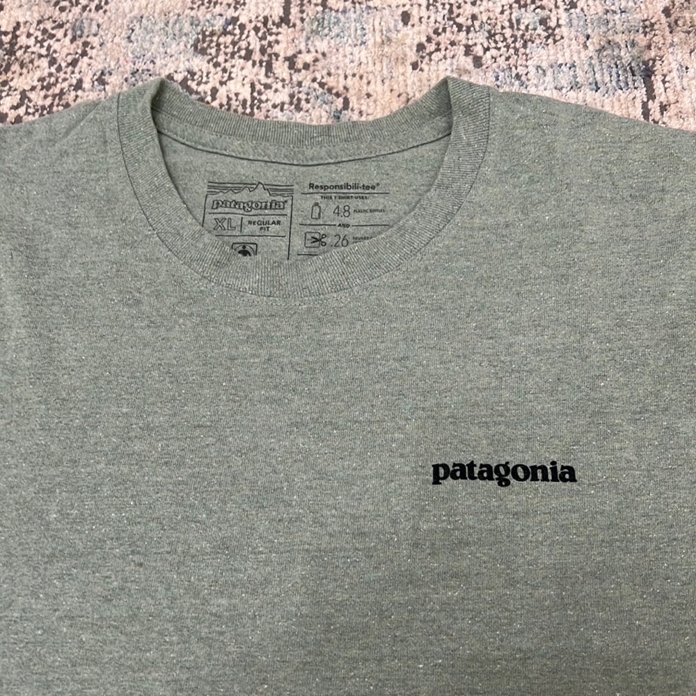 Patagonia Tee